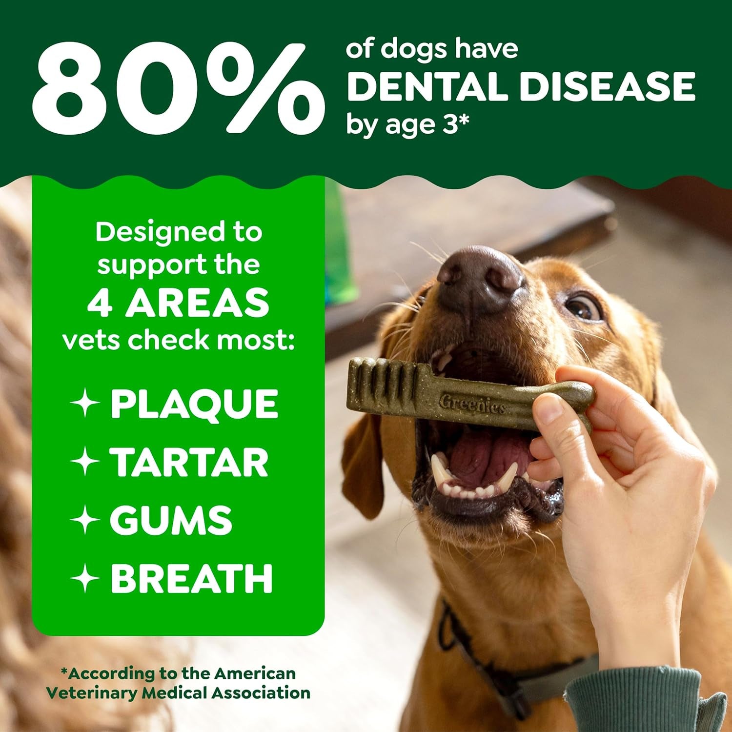 Greenies Original Petite Natural Dog Dental Care Chews Oral Health Dog Treats, 36 Ounce Pack (60 Treats)