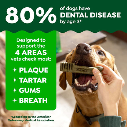Greenies Original Petite Natural Dog Dental Care Chews Oral Health Dog Treats, 36 Ounce Pack (60 Treats)