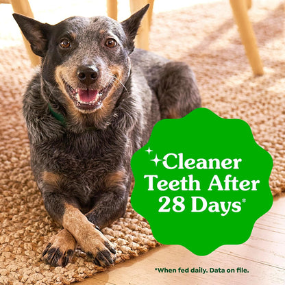 Greenies Original Petite Natural Dog Dental Care Chews Oral Health Dog Treats, 36 Ounce Pack (60 Treats)