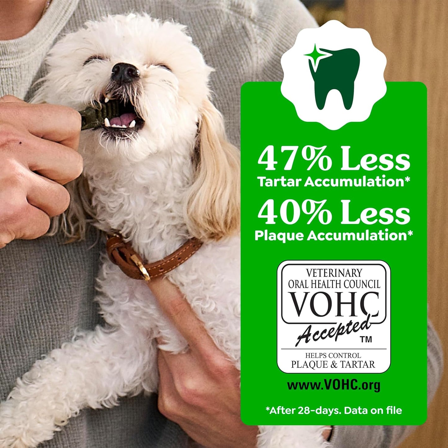 Greenies Original Petite Natural Dog Dental Care Chews Oral Health Dog Treats, 36 Ounce Pack (60 Treats)