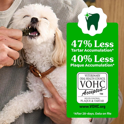 Greenies Original Petite Natural Dog Dental Care Chews Oral Health Dog Treats, 36 Ounce Pack (60 Treats)