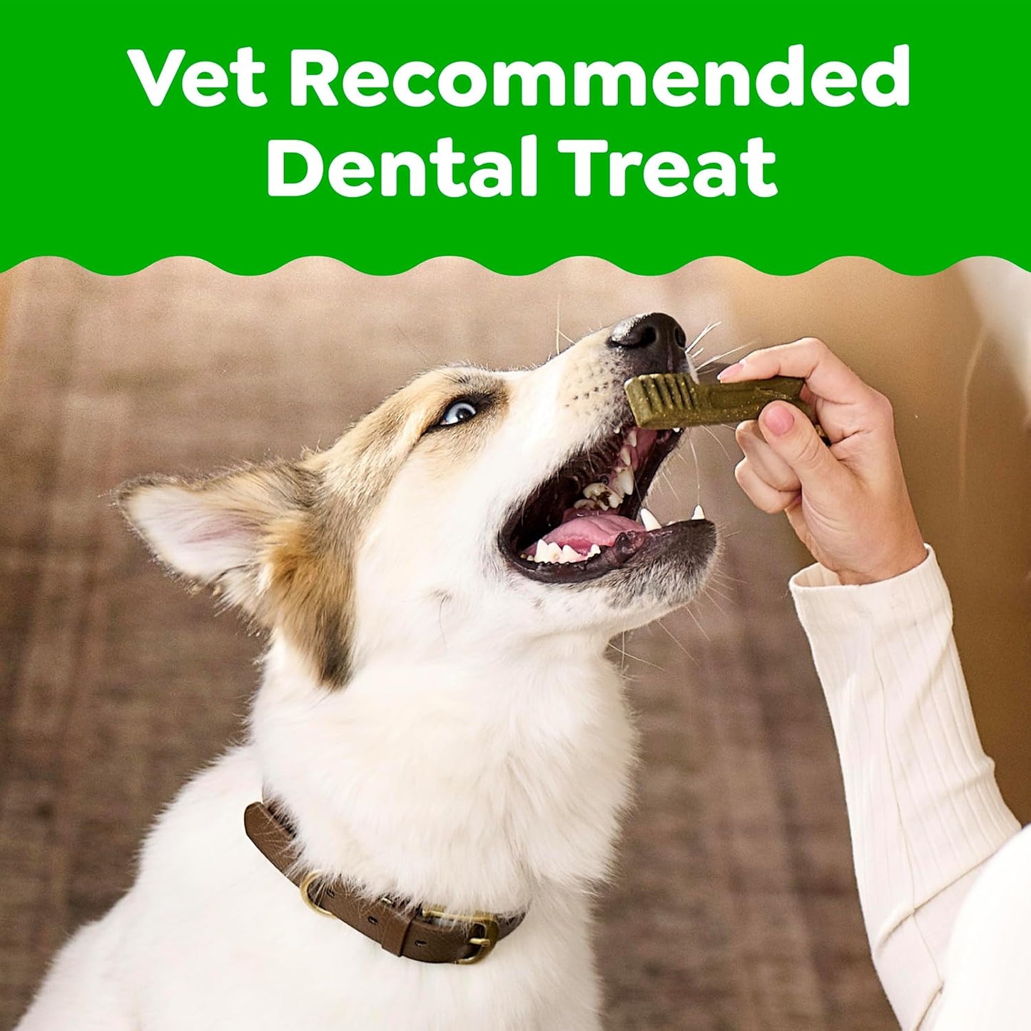 Greenies Original Petite Natural Dog Dental Care Chews Oral Health Dog Treats, 36 Ounce Pack (60 Treats)